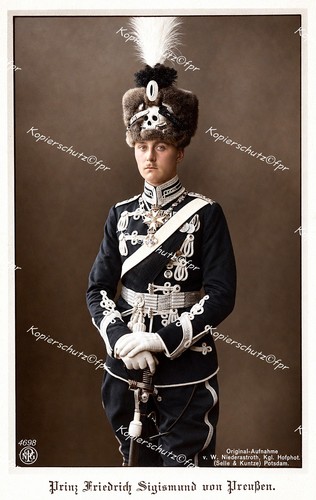 Prinz friedrich sigismund - prinz,