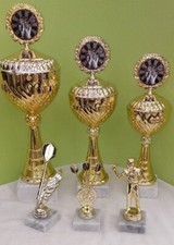 NEU 2025 Pokale Pokal Dart 6er