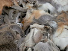 Natürliche Fellreste | Reh