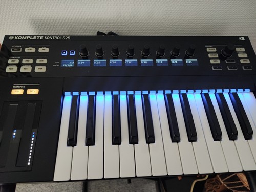 Native instruments komplete - native,