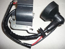  Zündspule f. EINHELL Benzin