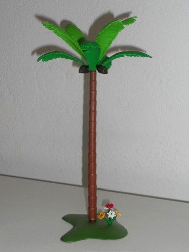Palme kokosnusspalme kokosnuss - palme,