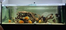 XXXL Aquarium Metallgestell und Zubehör 200x100x80 1600L Komplett