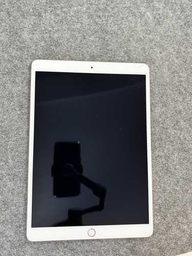 Apple ipad pro zoll 256 - ipad,