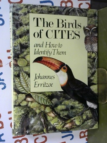 The birds cites and how - the,