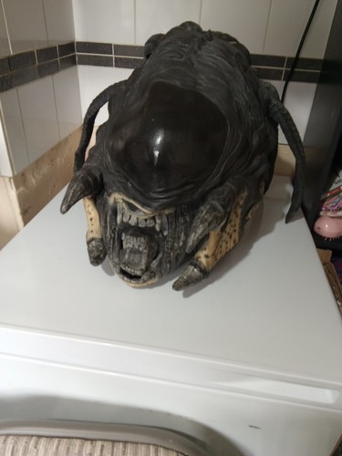 Erwachsene alien raubtier - erwachsene,
