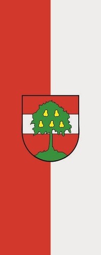 Fahne flagge dornbirn - dornbirn, im