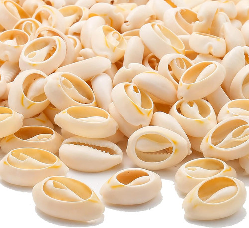 180pcs muschel perlen - muschel, mit