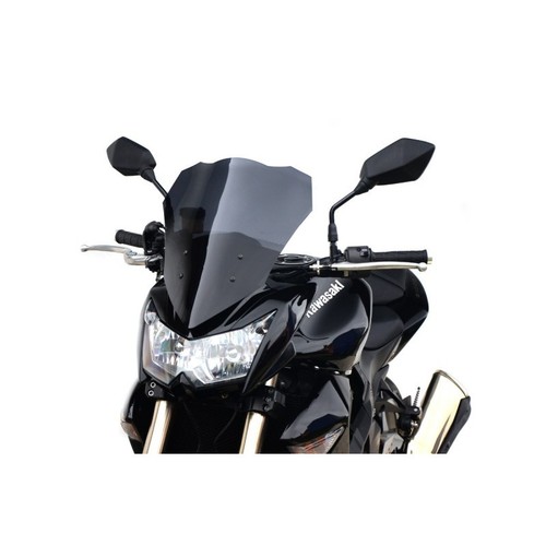 Kawasaki 1000 - z, (2007–2009)