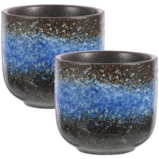  2 Pcs Kaffe Tassen Japanische