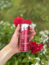 Red Bull Winter Edition 2021 -