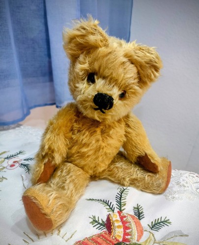 Alter englischer teddy - alter,