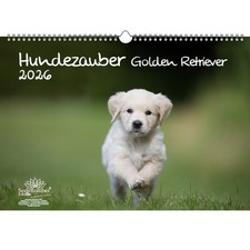 Hundezauber Golden Retriever