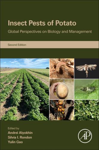 Insect pests potato - insect,