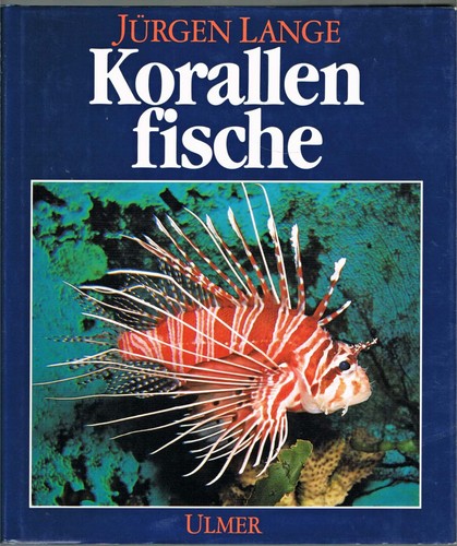 Korallenfische aquarium - korallenfische, im