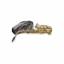 Stagg 77-SA/SC AltSaxophon - Hoch Fis-Klappe - inkl. Softcase -*Showroom Modell*