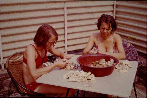 Altes ddr dia hübsche frauen - ddr,