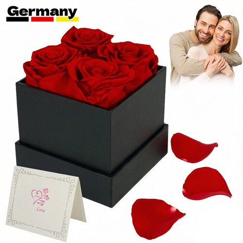 Ewige rose blumen infinity - rose,