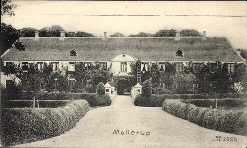 Mollerup dänemark - mollerup,