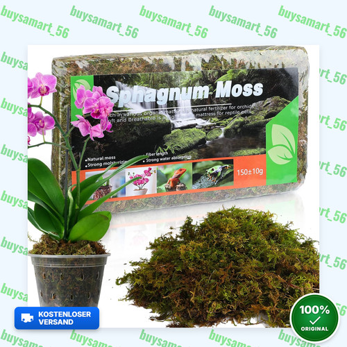 Sphagnum moos für - sphagnum,