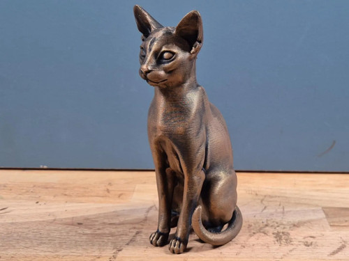 Abessinierkatze elegante - abessinierkatze,