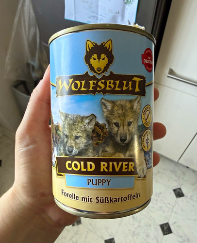 Wolfsblut cold river - river, puppy
