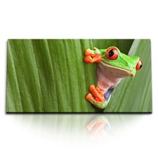 120x80cm Kunstdruck Bilder