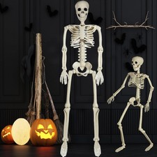 Halloween Skelett Deko