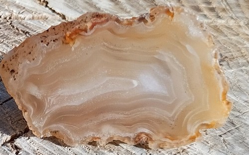 Achat aus sammlung calandria - sammlung.,