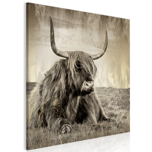 Tiere büffel bison vlies - büffel,