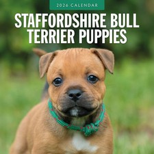 Staffordshire Bullterrier