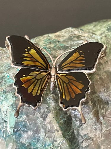 Schmetterling bernstein - schmetterling,