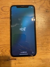 iPhone 11 Display Teildefekt