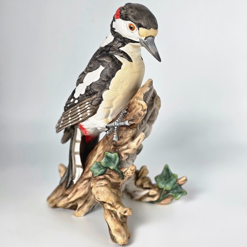 Goebel buntspecht vogel - buntspecht, des