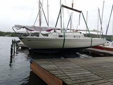 segelboote gebraucht mit Trailer  Tüv Sept. 2027  /  Shark 24 Bj 1989