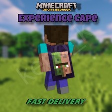 ⚡️Minecraft Experience
