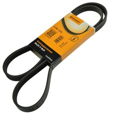 CONTITECH  -  Keilrippenriemen