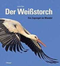 Der Weißstorch | Ein Zugvogel