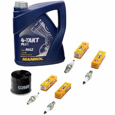 Öl Set Inspektion 4L für