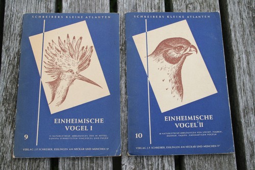 Einheimische vögel und ii - einheimische, i