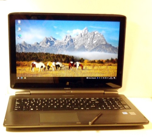 Medion s6214t convertible - medion,