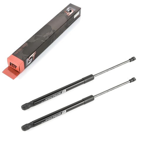 Gasfeder - 2x,