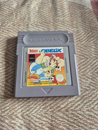Asterix und obelix - obelix,
