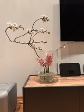 Windlicht Vase Glas Gross