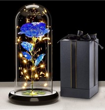 Gifts for Women, Galaxy Rose