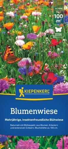 Blumenwiese für 100 - 1, m²