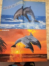 2 Delfin Poster Aus Der Bravo