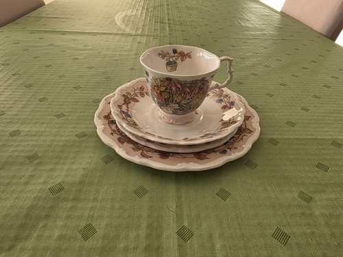 Royal doulton brambly hedge - brambly,