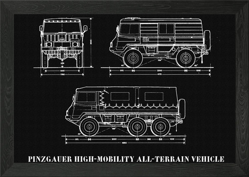 Pinzgauer hohe mobilität - pinzgauer,