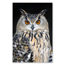 Postereck 2522 Poster Leinwand